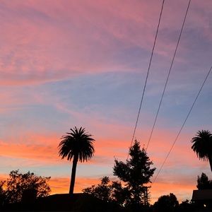 Meet your Posher, Isabel